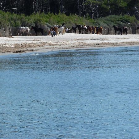 Affittacamere A Due Passi Dal Mare Marina di Cecina Bagian luar foto