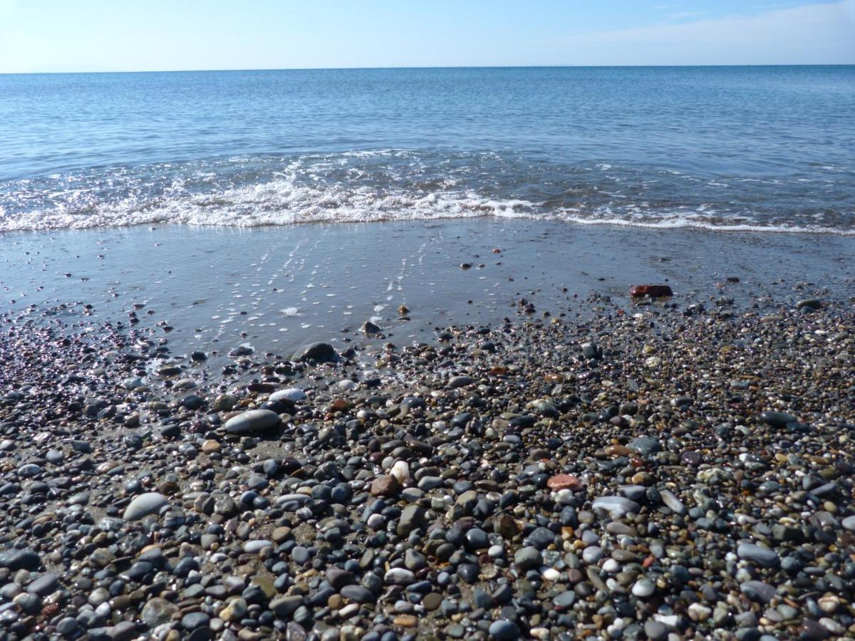 Affittacamere A Due Passi Dal Mare Marina di Cecina Bagian luar foto
