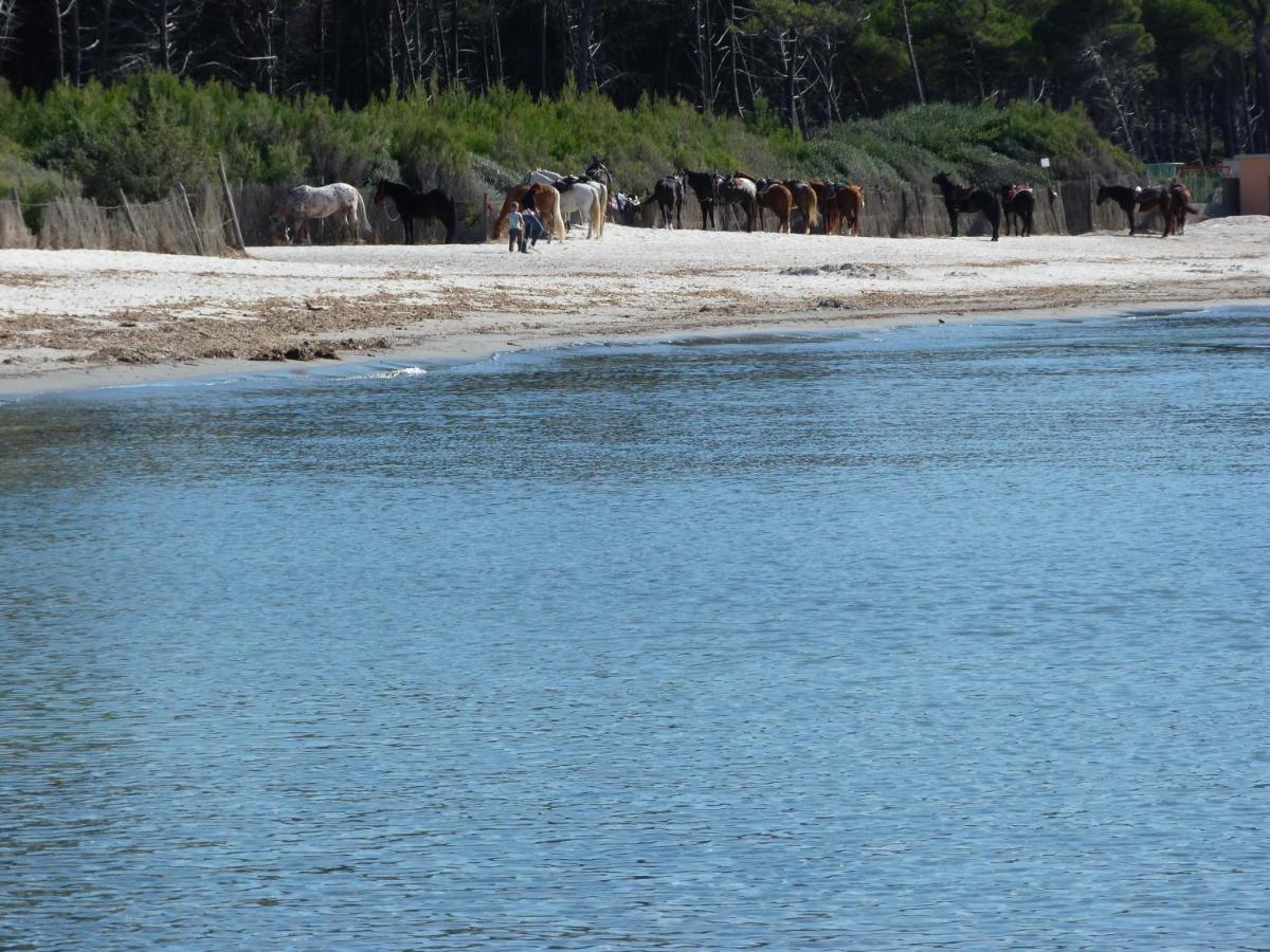 Affittacamere A Due Passi Dal Mare Marina di Cecina Bagian luar foto